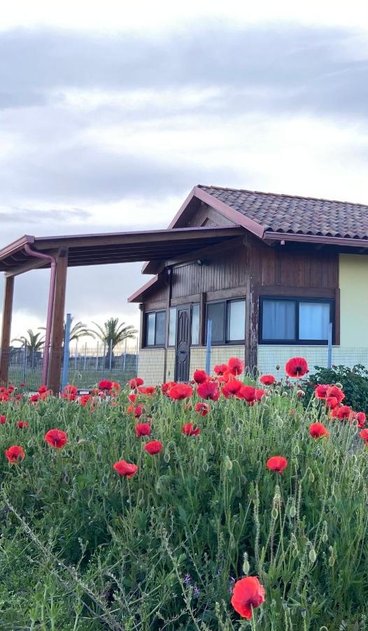 Spiaggia Le Dune Residence Margherita Di Savoia Exteriör bild